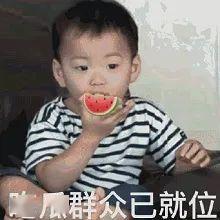 杨咩咩吃瓜视频一元钱,一元钱的奇妙之旅