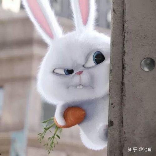 美国兔子大哥吃瓜视频,揭秘娱乐圈幕后真相