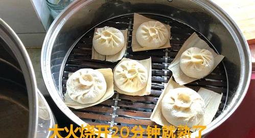 什么瓜可以包包子吃呢视频,用“什么瓜”制作独特包子的秘诀