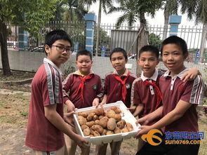 校园吃瓜集市事件视频大全