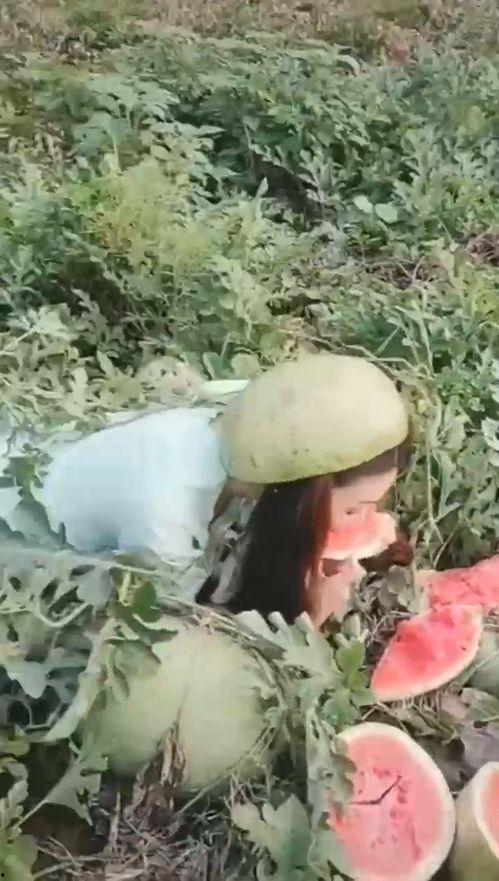 和漂亮小姐姐吃瓜视频大全,与漂亮小姐姐共享的吃瓜视频盛宴