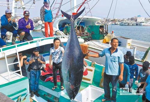 台湾吃瓜渔民视频大全,趣味横生的海上生活瞬间