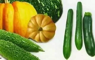 鑫宝吃瓜的视频,揭秘娱乐圈幕后故事