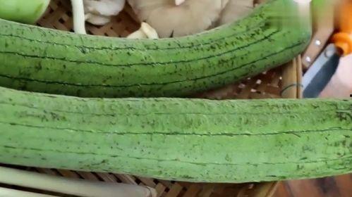 吃瓜越南美女视频网站,吃瓜群众纷纷围观