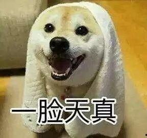 楼下吵架吃瓜配音视频大全,吃瓜群众配音视频大盘点