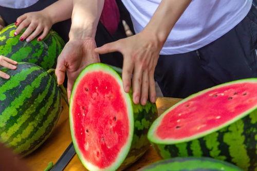 大学校园的吃瓜视频