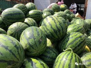 砀山最新吃瓜爆料视频,揭秘神秘事件背后的真相