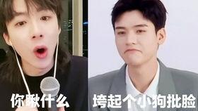 吃瓜网搜什么最好看视频,这些精彩内容不容错过！