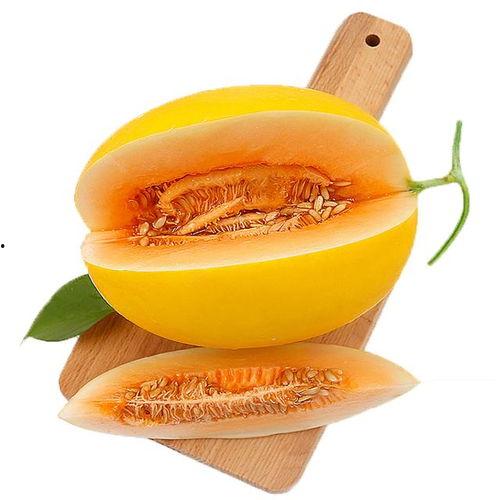 张学友吃蜜瓜汁视频,品尝蜜瓜汁的温馨时刻