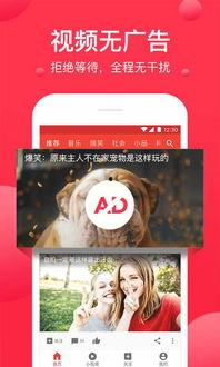 教师吃瓜爆料视频播放下载,揭秘幕后下载热潮