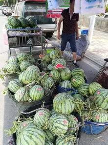 渭南网红吃瓜事件视频,一场网络狂欢背后的真相揭秘