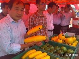 江苏阿姨聚会吃瓜视频,欢乐时光共享八卦