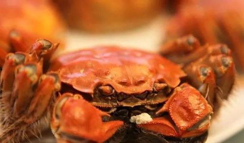 吃瓜哥卖螃蟹视频,揭秘螃蟹美食之旅