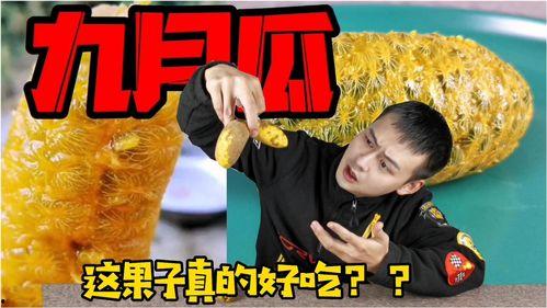 吃九月瓜视频在线观看免费,揭秘九月瓜的神奇魅力