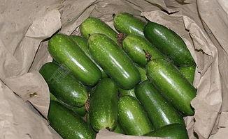 毛瓜如何快速切碎吃视频,轻松美味一步到位