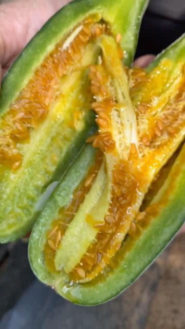 大家一起吃瓜视频