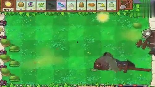 僵尸吃瓜的视频,一场吃瓜盛宴的惊悚直播