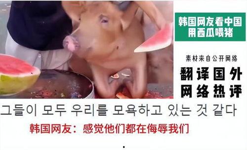 韩国人吃瓜视频,揭秘娱乐圈幕后故事