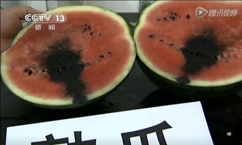 如何做好吃的吃瓜视频,轻松制作美味吃瓜视频攻略