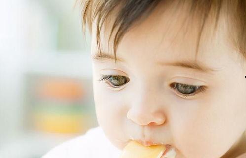 小宝贝吃小白瓜好吗视频,健康美味新体验