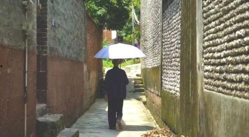 龙泉古镇吃瓜事件视频,一场引发网友热议的美食风波