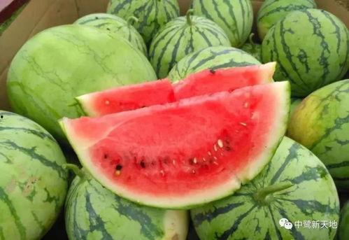 黔西今天吃瓜视频,揭秘网络视频背后的故事