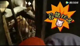 吃瓜三打一视频免费观看,三打一视频带你领略欢乐时光