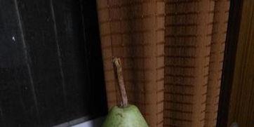 吃瓜中毒的视频,揭秘背后真相与警示