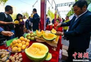 景县最新吃瓜事件视频,视频揭秘惊人真相