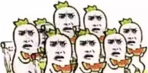 吃瓜群众不挑食的视频,美食探索之旅