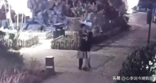 吃瓜视频能拍到吗,揭秘幕后拍摄技巧