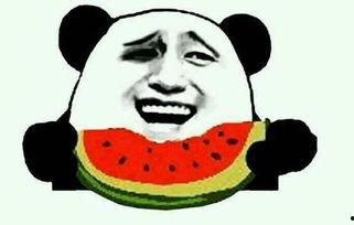 吃瓜群众视频怎么画出来,揭秘短视频艺术创作过程