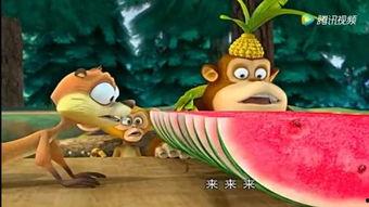 兔子吃瓜的搞笑视频,笑料横生，萌态十足！