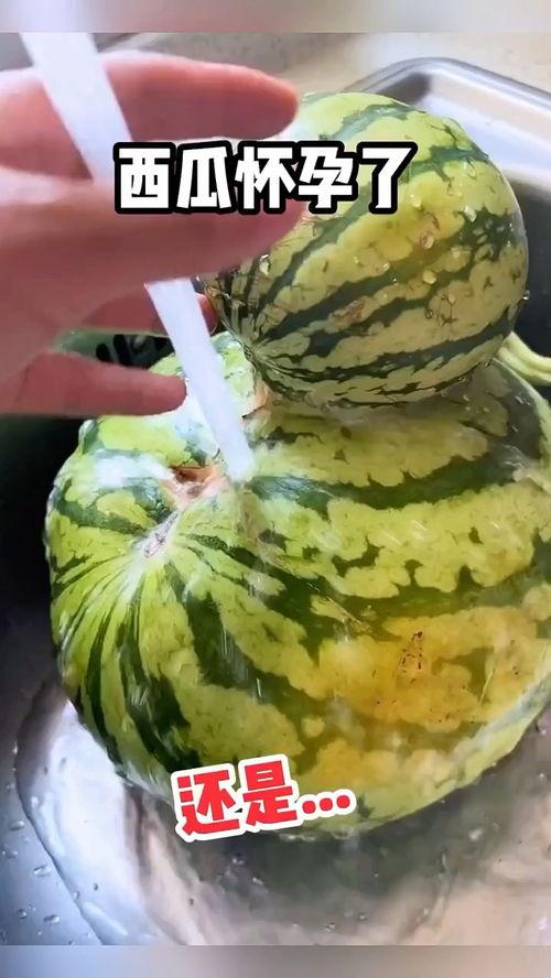 一起吃最香的瓜搞笑视频