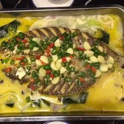 带你吃瓜当代美食视频下载