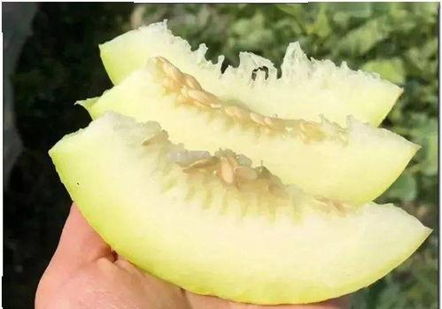 中国吃瓜女王视频在线