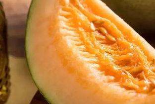 几月份吃蜜瓜最好呢视频,每月最佳蜜瓜食用指南